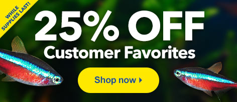 25% OFF Customer Favorites Our best-selling aquatic life is on sale for 25% OFF.
